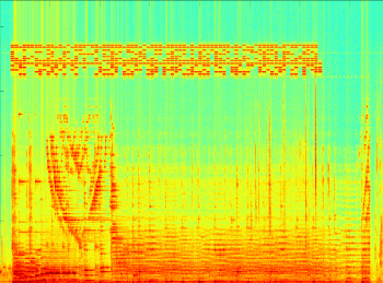 Audio Steganography